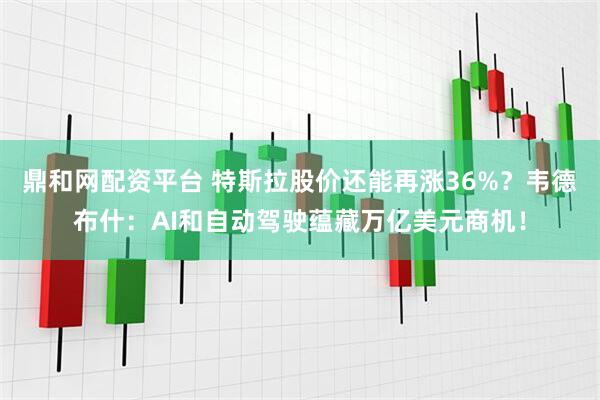 鼎和网配资平台 特斯拉股价还能再涨36%？韦德布什：AI和自动驾驶蕴藏万亿美元商机！