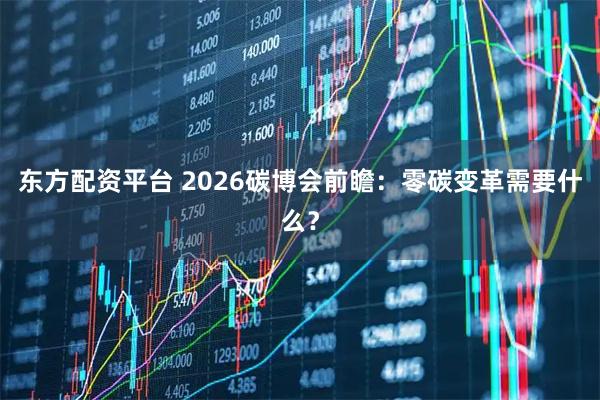 东方配资平台 2026碳博会前瞻：零碳变革需要什么？